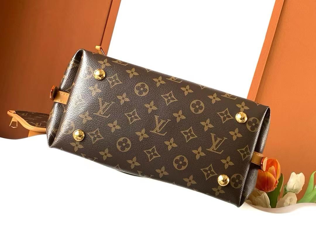 Louis Vuitton CarryAll PM