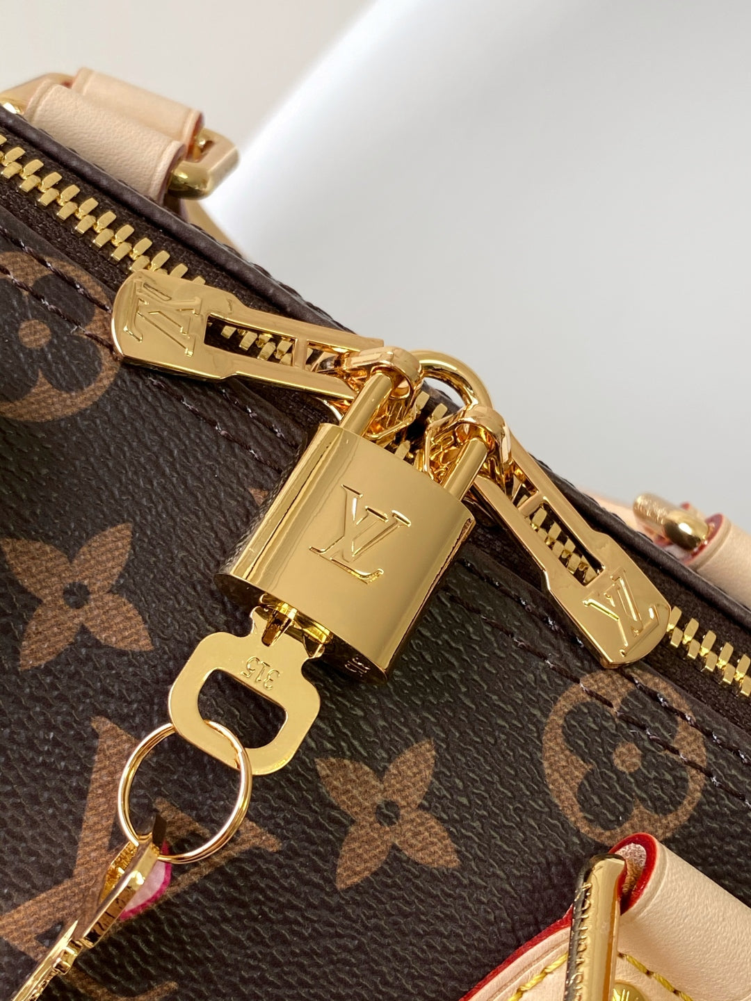 Louis Vuitton x TM Speedy 25 Cherry Blossom