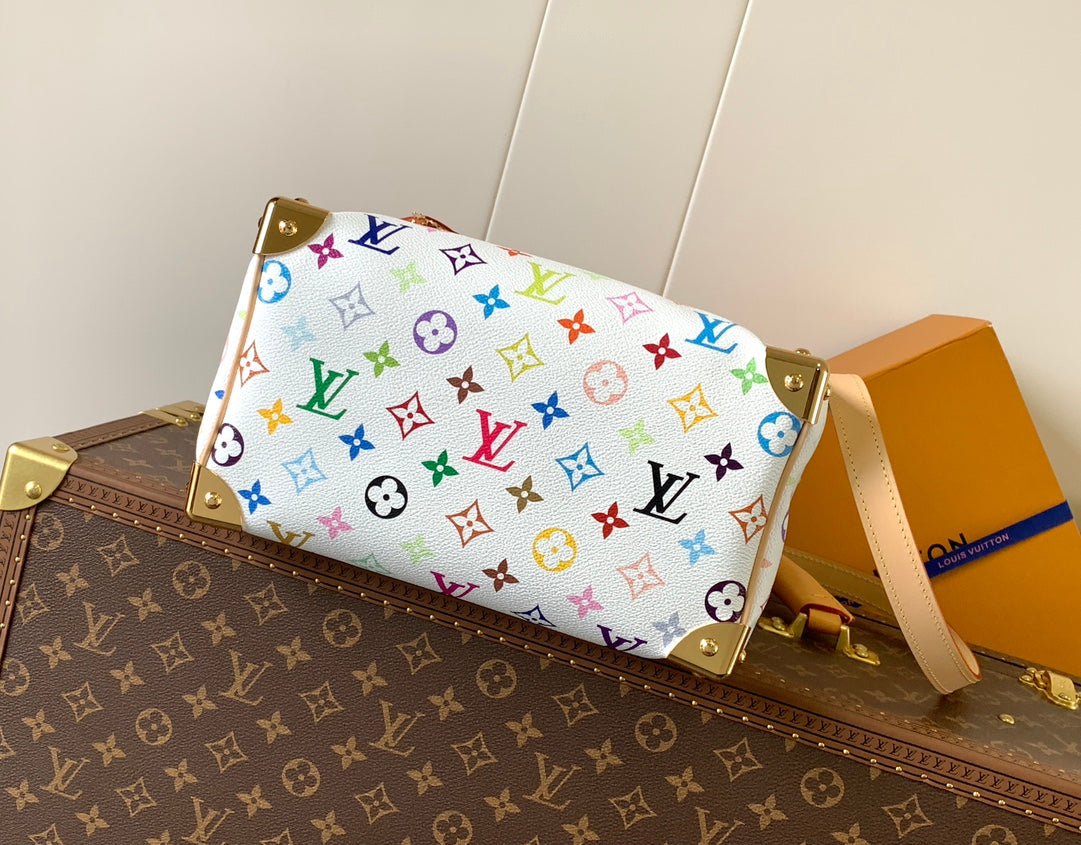 Louis Vuitton x TM Speedy 25