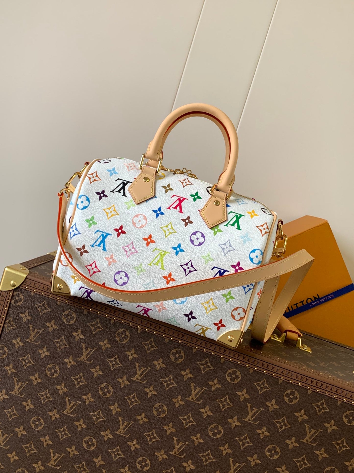 Louis Vuitton x TM Speedy 25