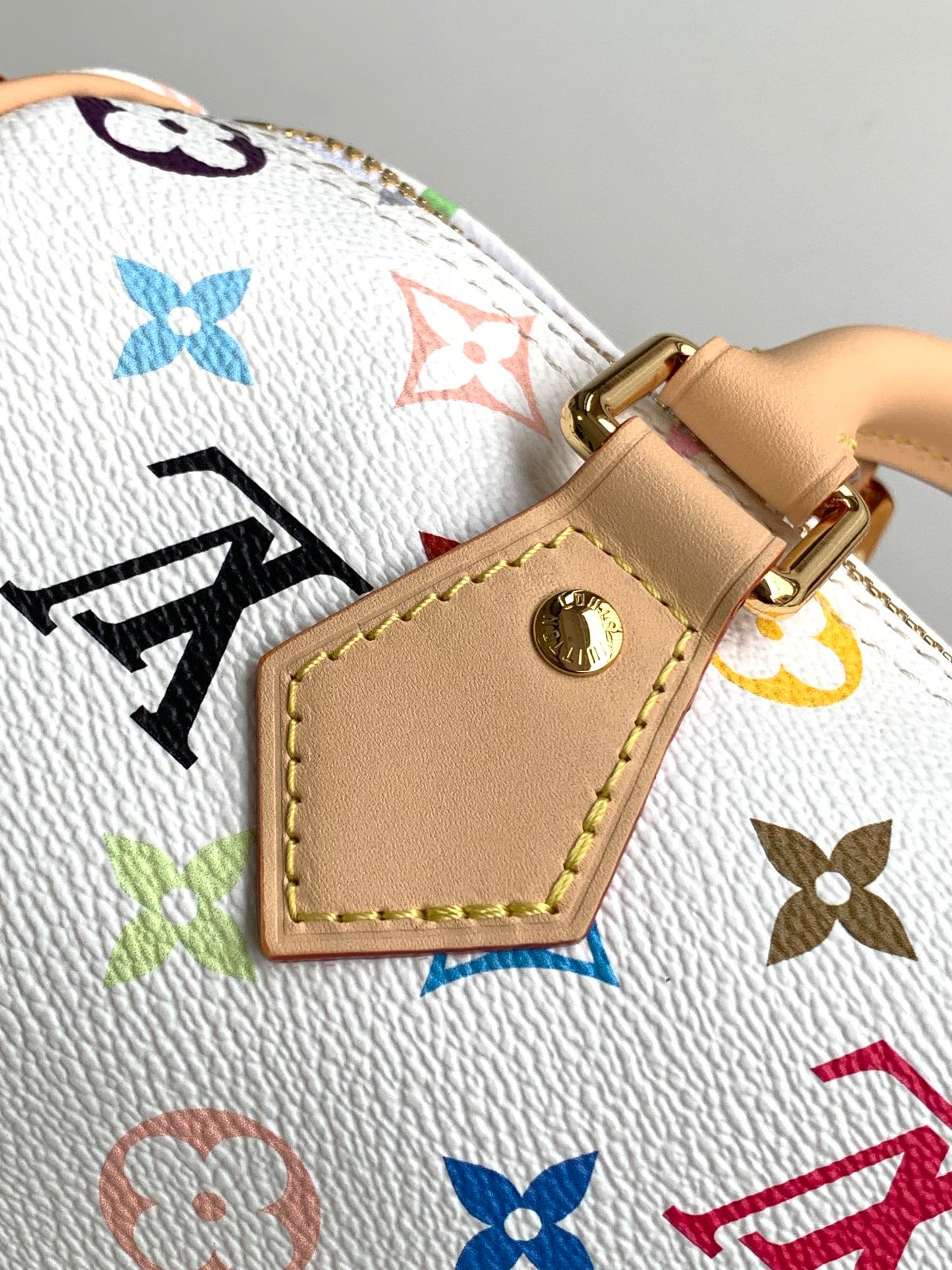 Louis Vuitton x TM Speedy 25
