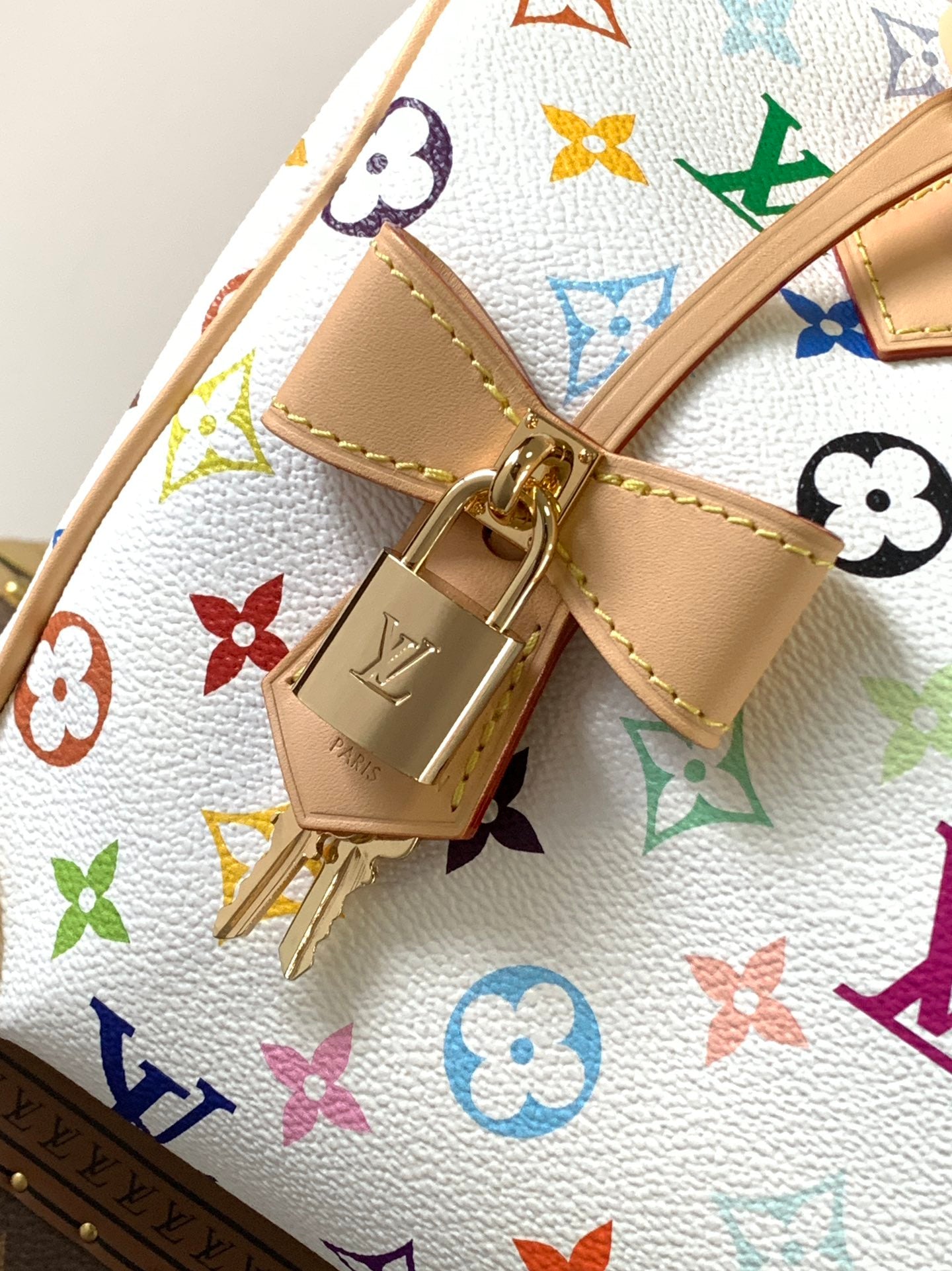 Louis Vuitton x TM Speedy 25