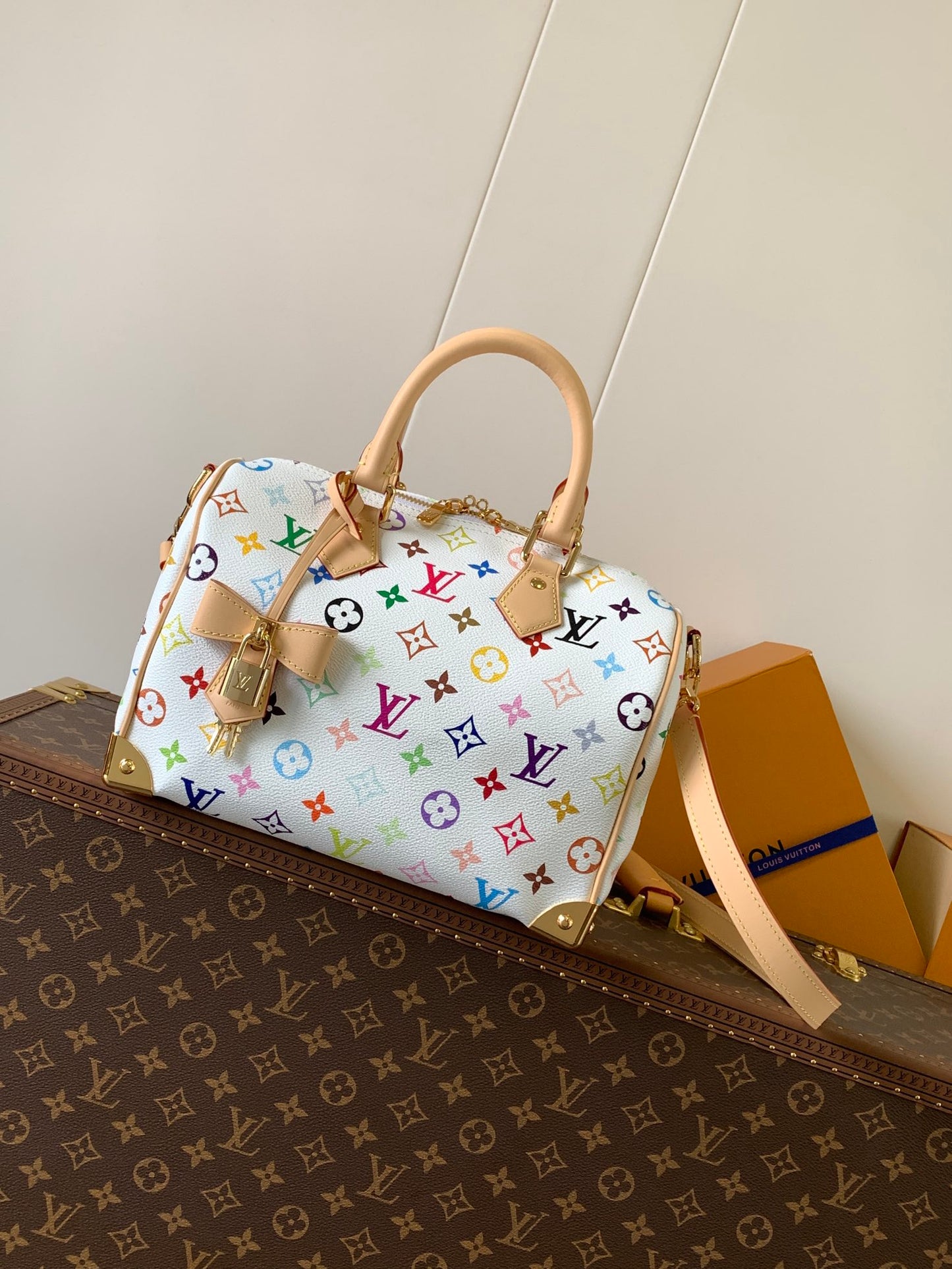 Louis Vuitton x TM Speedy 25
