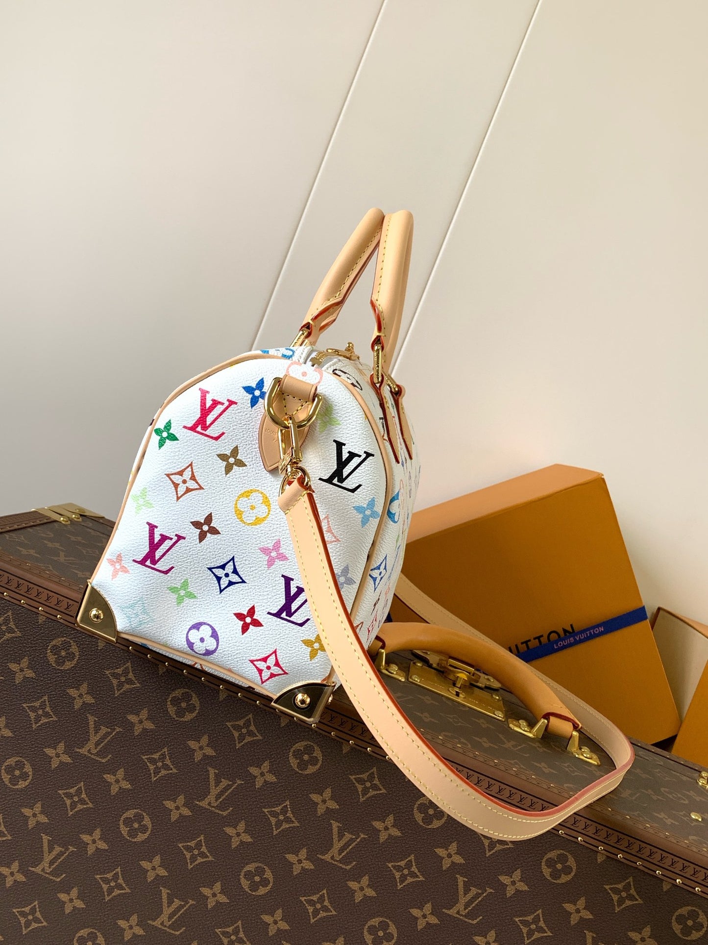 Louis Vuitton x TM Speedy 25